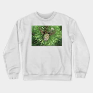 Young Pine Cone in Greens Crewneck Sweatshirt